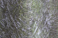 St Johns fibreglass roof work